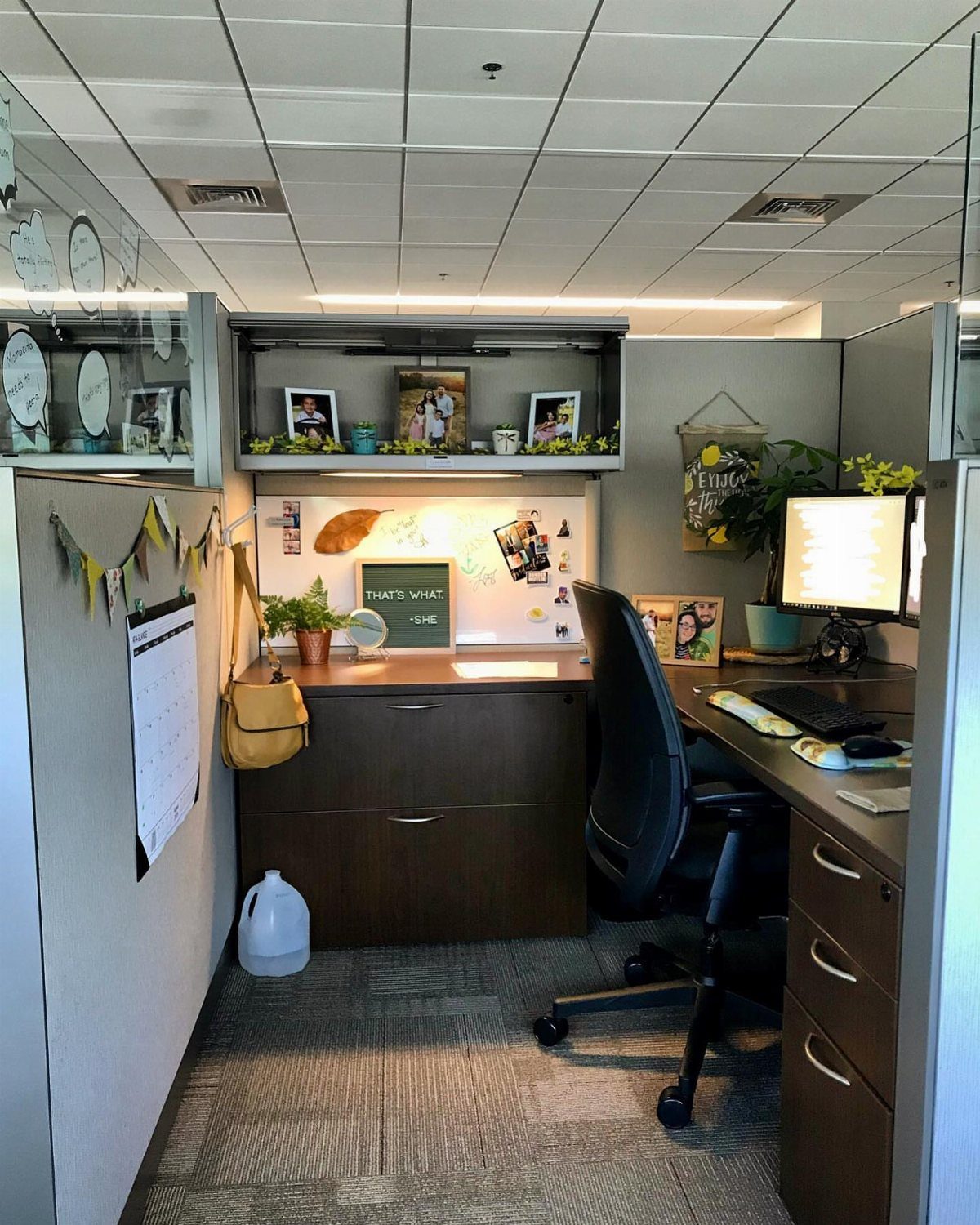 Decorated office cubicle with a dark wood desk, plants, and personal photos.