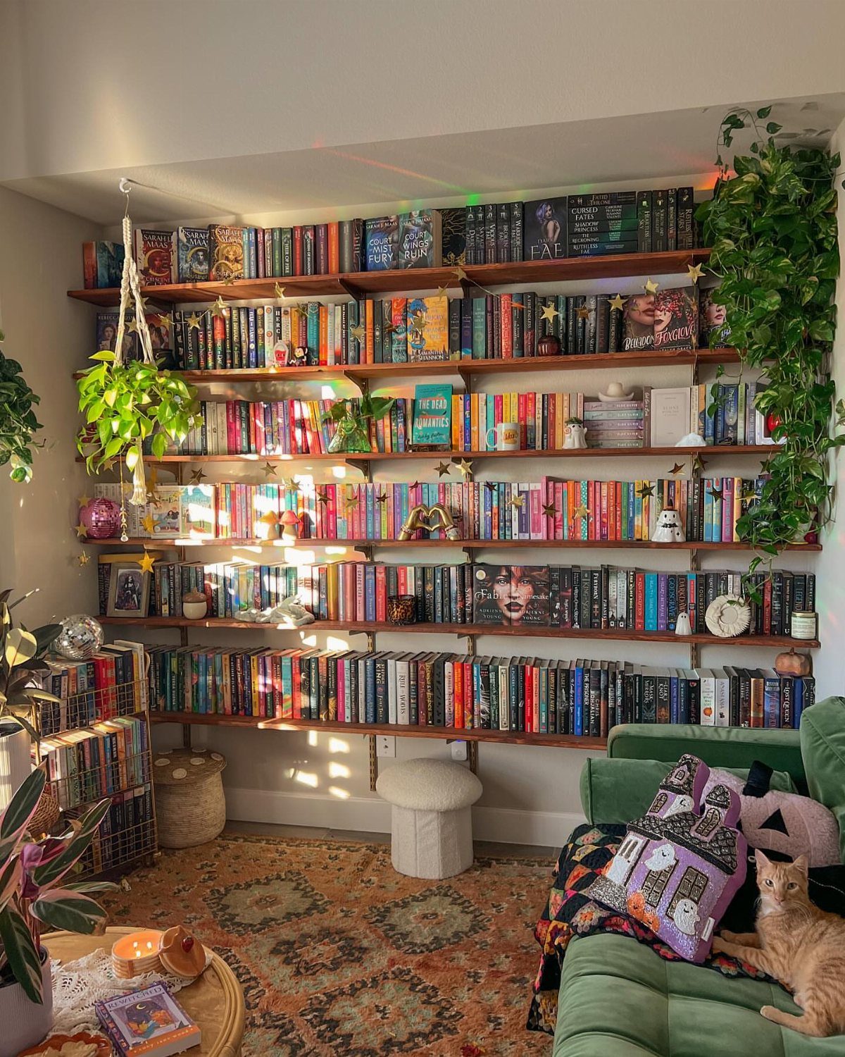 Floor-to-ceiling bookshelves filled with colorful books in a cozy living room with plants.