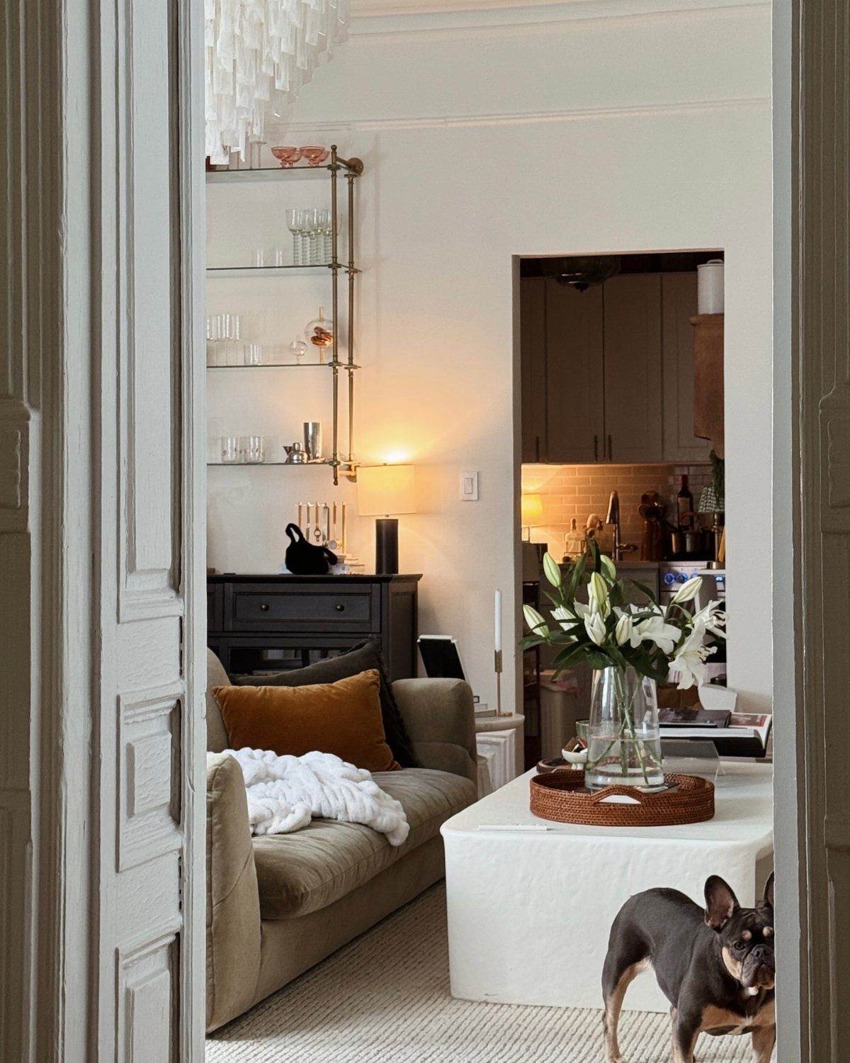 Living room interior with beige sofa, white coffee table, and a small dog.